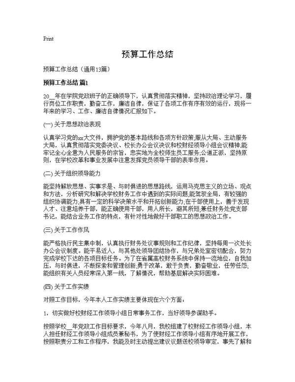 预算工作总结13篇