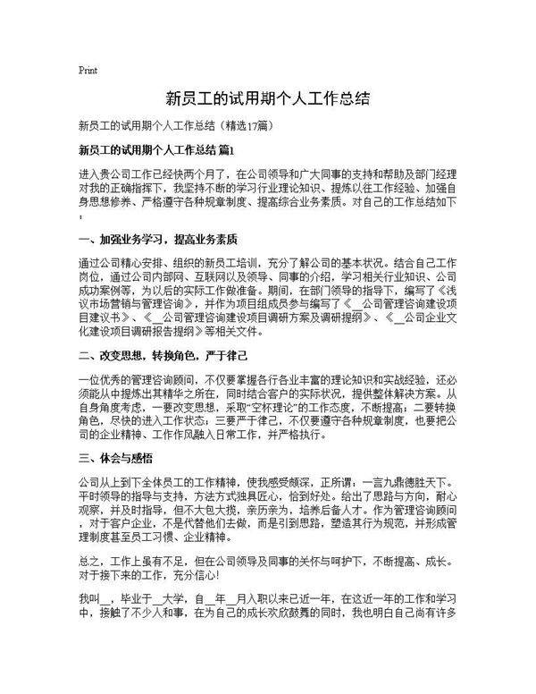 新员工的试用期个人工作总结17篇