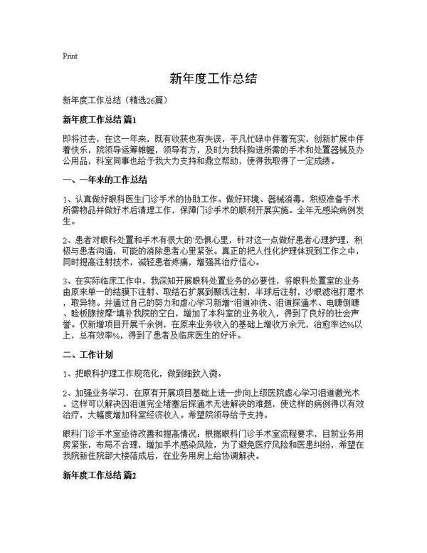 新年度工作总结26篇