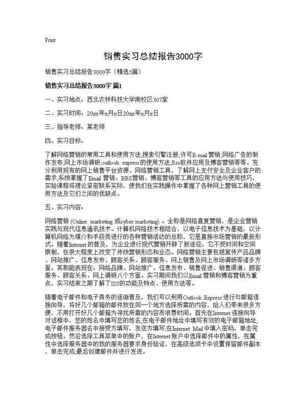 销售实习总结报告3000字5篇