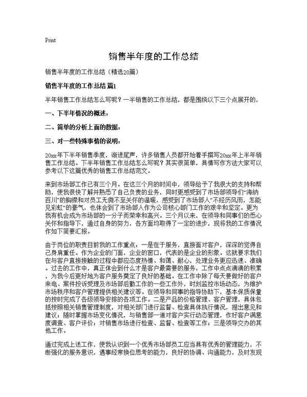 销售半年度的工作总结20篇