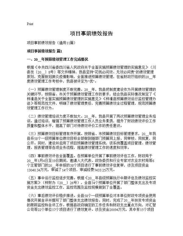 项目事前绩效报告11篇