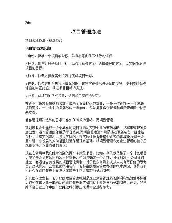 项目管理办法7篇