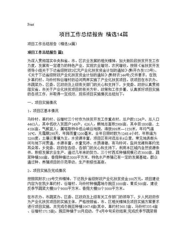 项目工作总结报告(精选14篇)