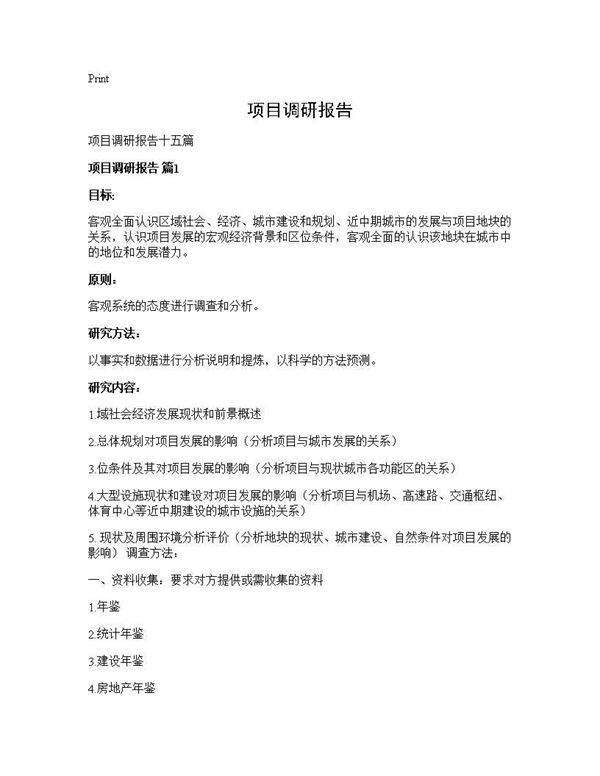 项目调研报告