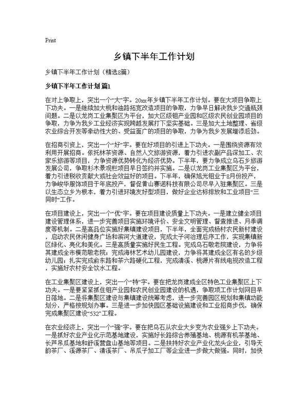 乡镇下半年工作计划8篇