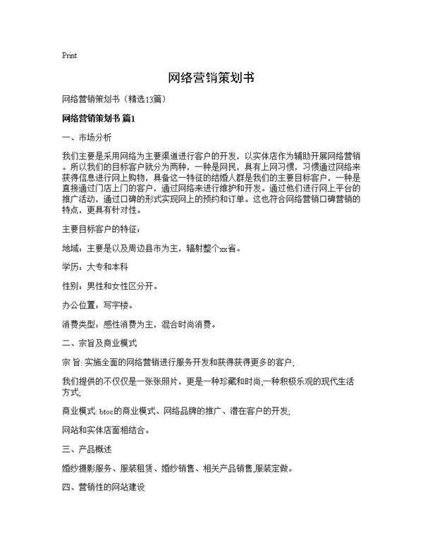 网络营销策划书13篇