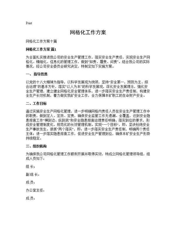 网格化工作方案