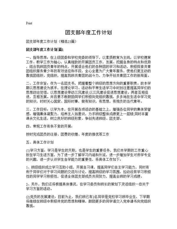 团支部年度工作计划23篇