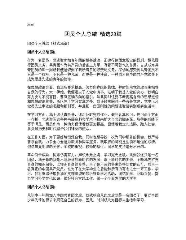 团员个人总结(精选28篇)