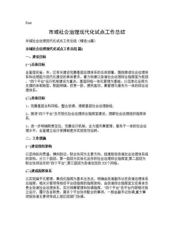 市域社会治理现代化试点工作总结18篇