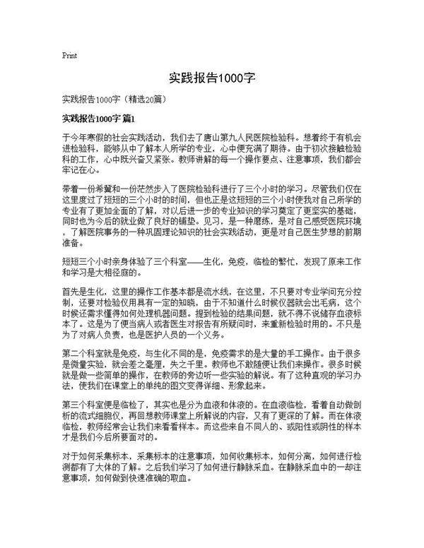 实践报告1000字20篇