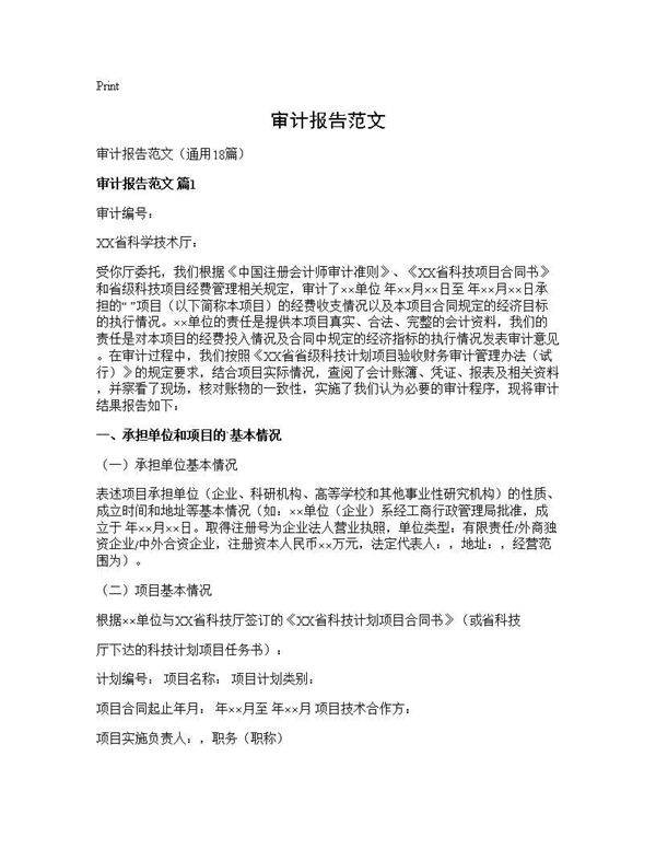 审计报告范文18篇