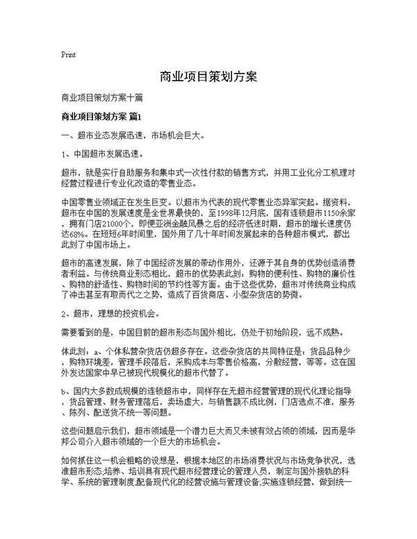 商业项目策划方案