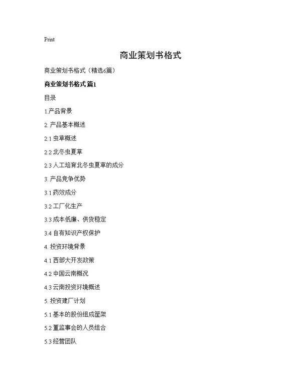 商业策划书格式6篇