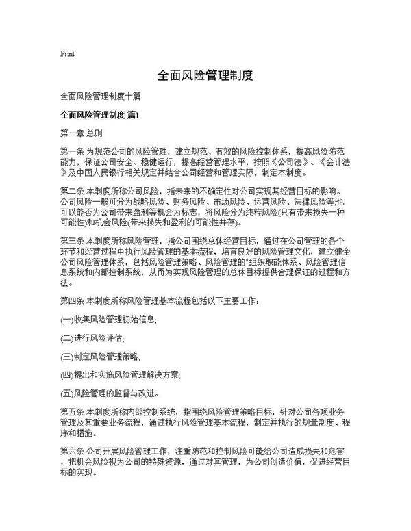 全面风险管理制度