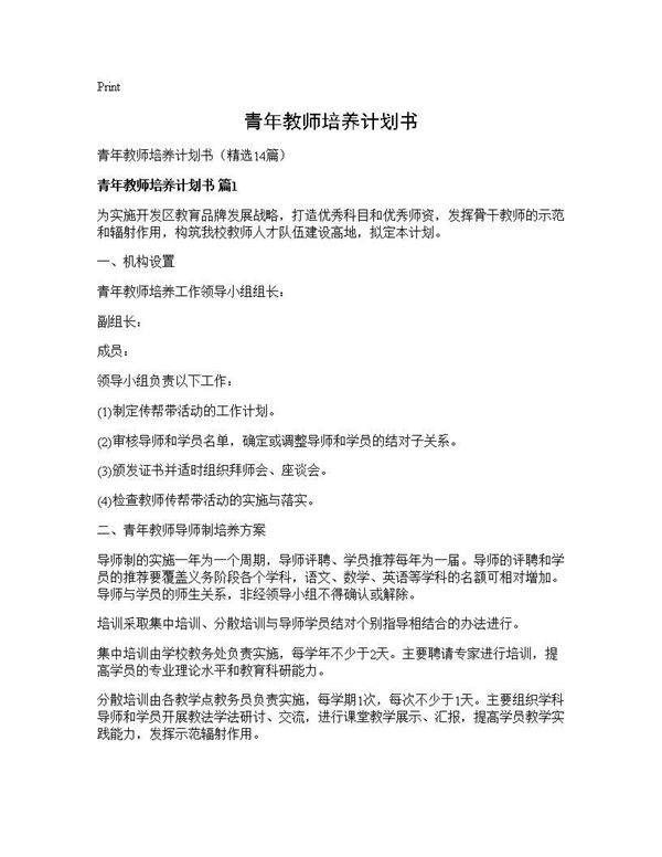 青年教师培养计划书14篇