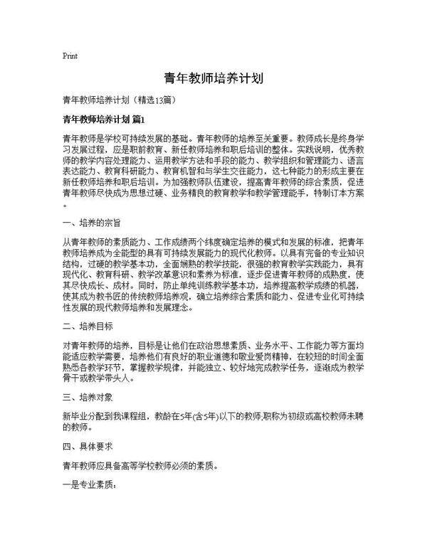 青年教师培养计划13篇