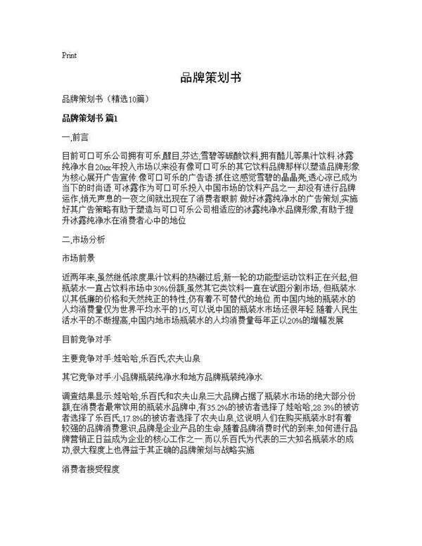 品牌策划书10篇