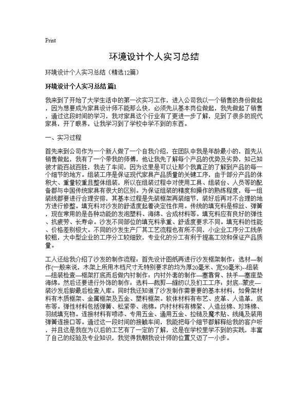 环境设计个人实习总结12篇