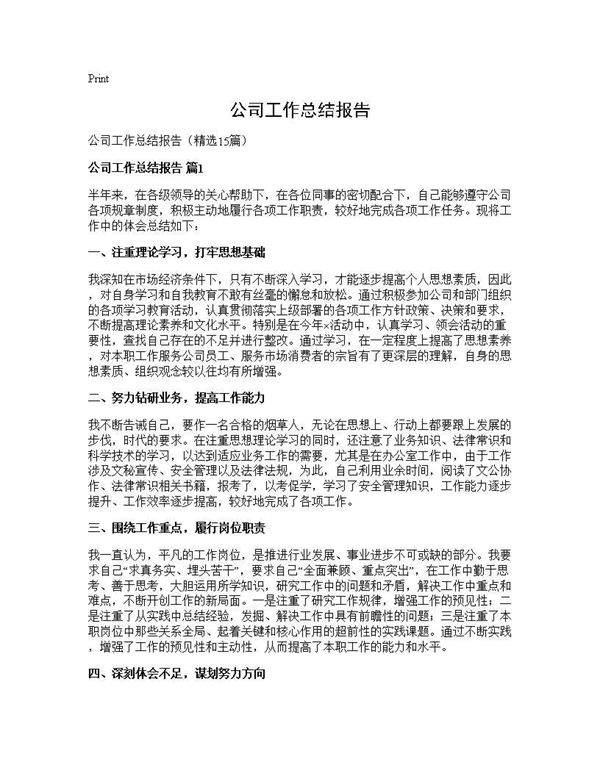 公司工作总结报告15篇