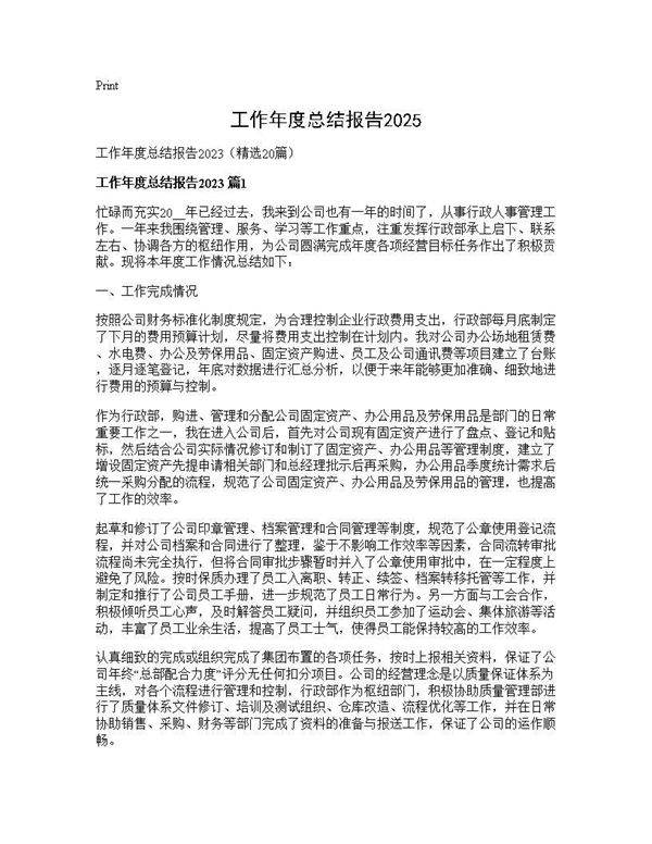 工作年度总结报告202520篇