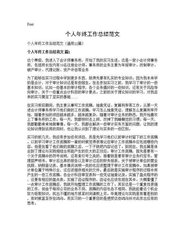 个人年终工作总结范文22篇
