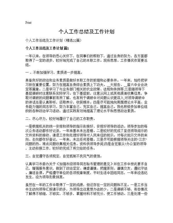 个人工作总结及工作计划22篇