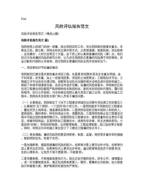 风险评估报告范文20篇