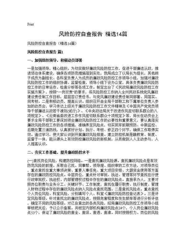 风险防控自查报告(精选14篇)