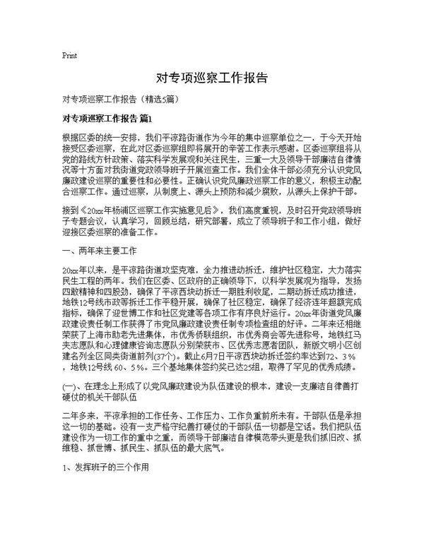 对专项巡察工作报告5篇