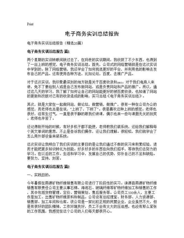 电子商务实训总结报告20篇