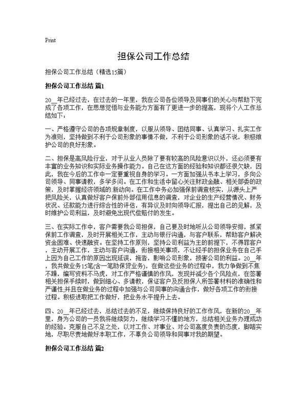 担保公司工作总结15篇