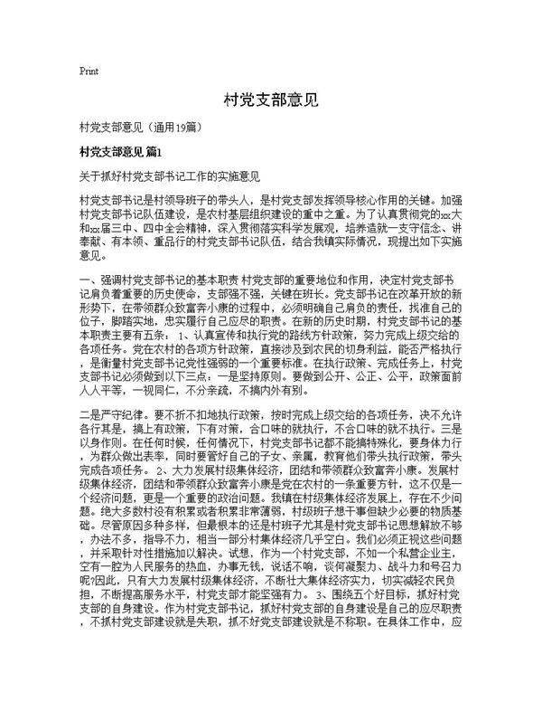 村党支部意见19篇