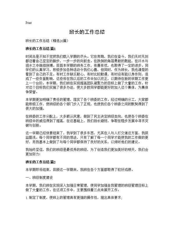 班长的工作总结20篇