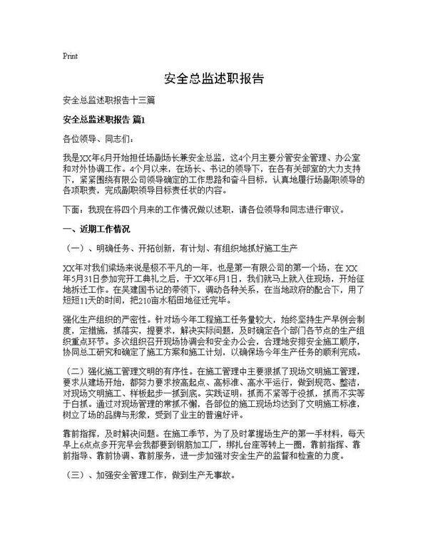 安全总监述职报告