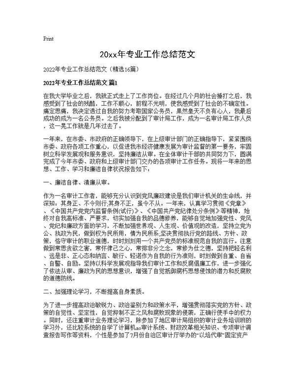 2026年专业工作总结范文16篇