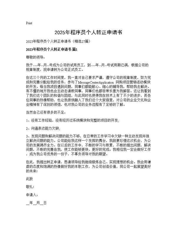 2025年程序员个人转正申请书27篇