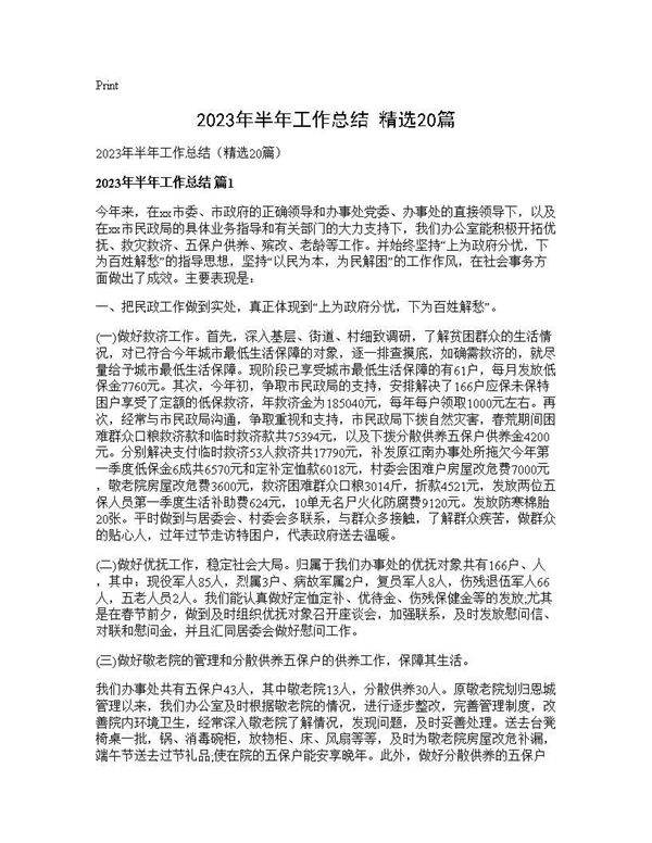 2025年半年工作总结(精选20篇)