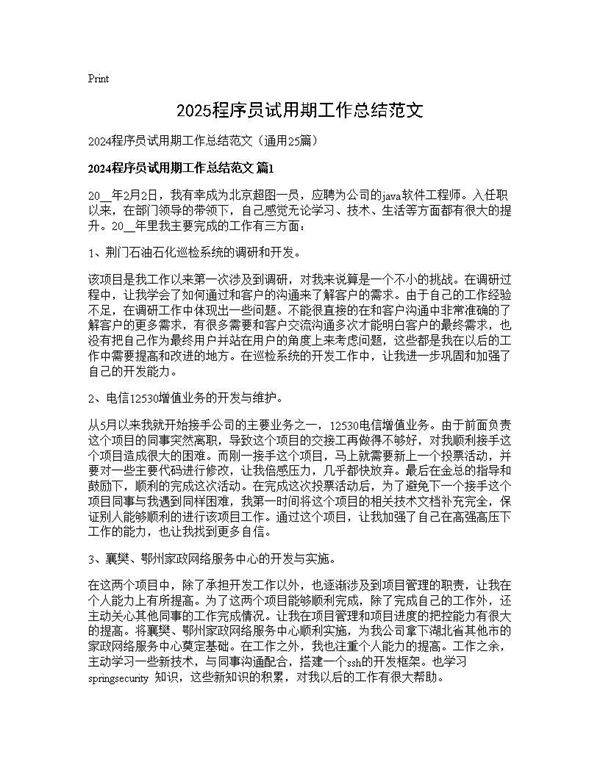 2024程序员试用期工作总结范文25篇