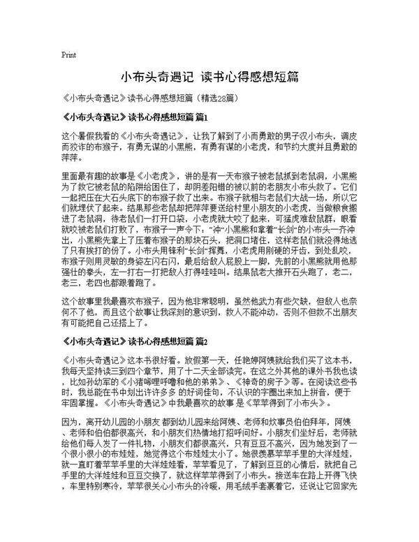 《小布头奇遇记》读书心得感想短篇28篇