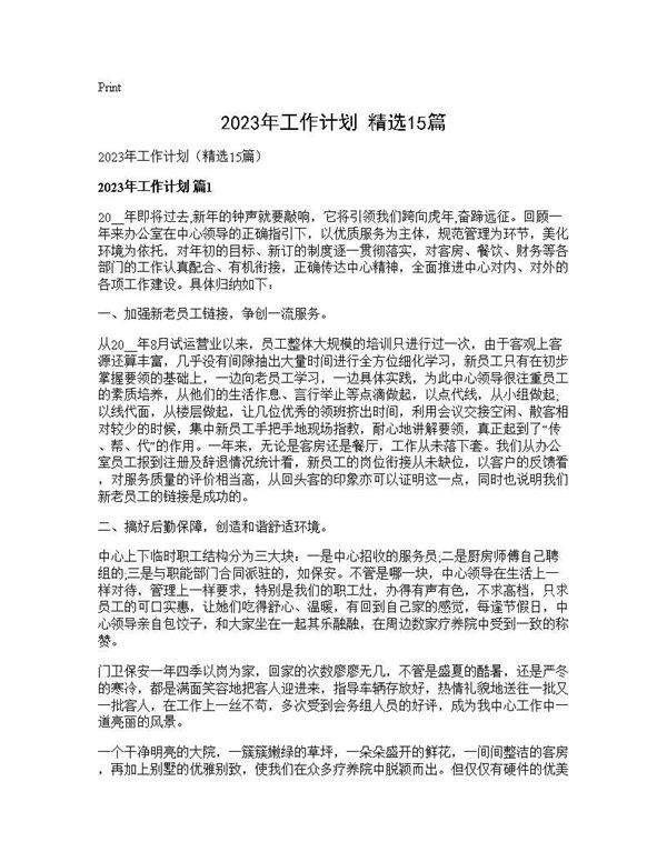 2025年工作计划(精选15篇)