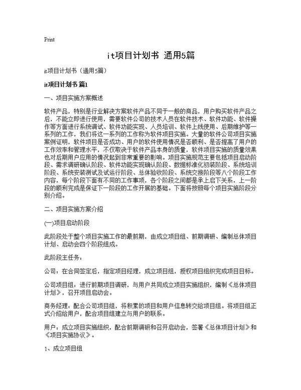 it项目计划书(通用5篇)