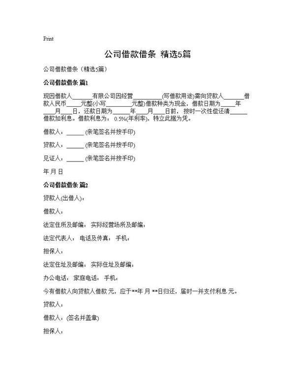 公司借款借条(精选5篇)