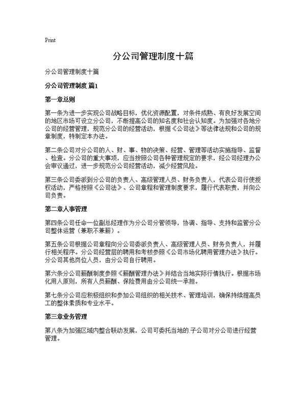 分公司管理制度十篇