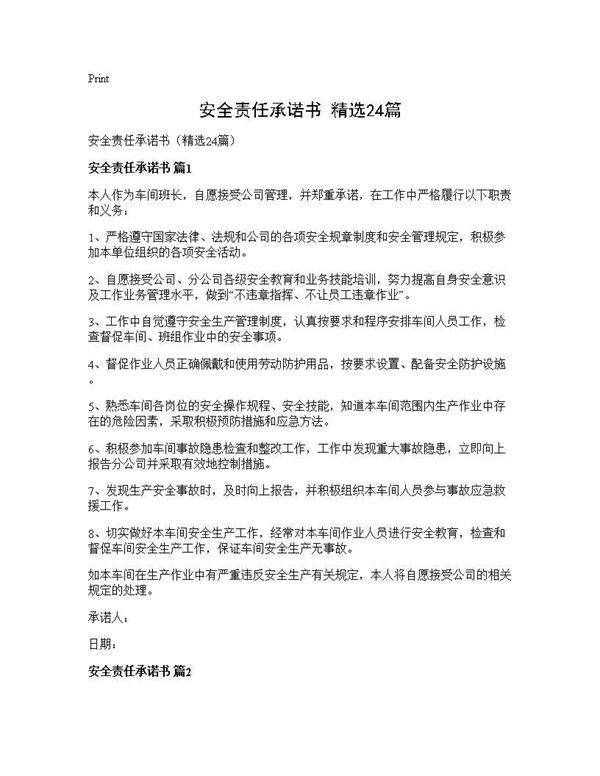 安全责任承诺书(精选24篇)