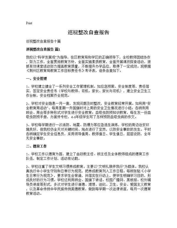 巡视整改自查报告
