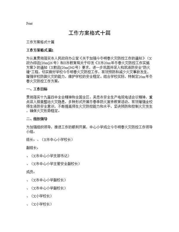 工作方案格式十篇