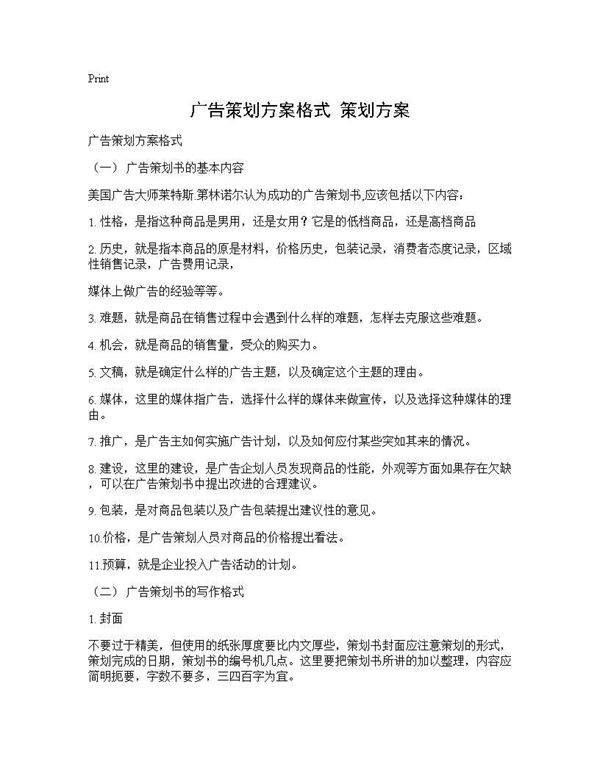 广告策划方案格式 策划方案
