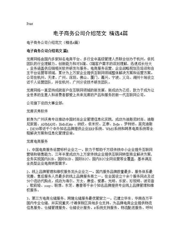 电子商务公司介绍范文(精选4篇)
